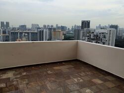 Balestier Road (D12), Apartment #593567691